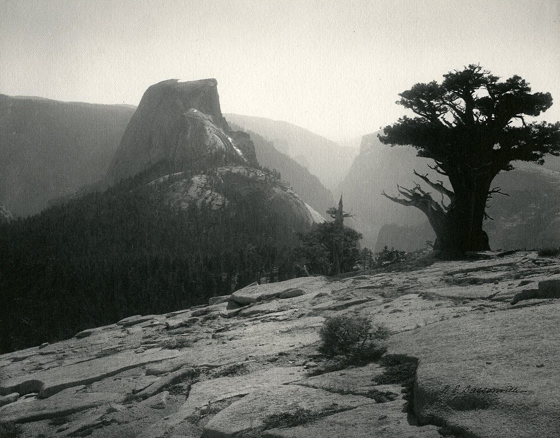 Half Dome from the Heights
