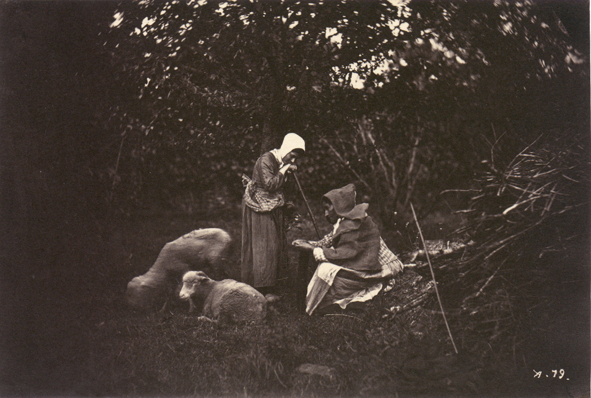 Two Shepherdesses with Sheep