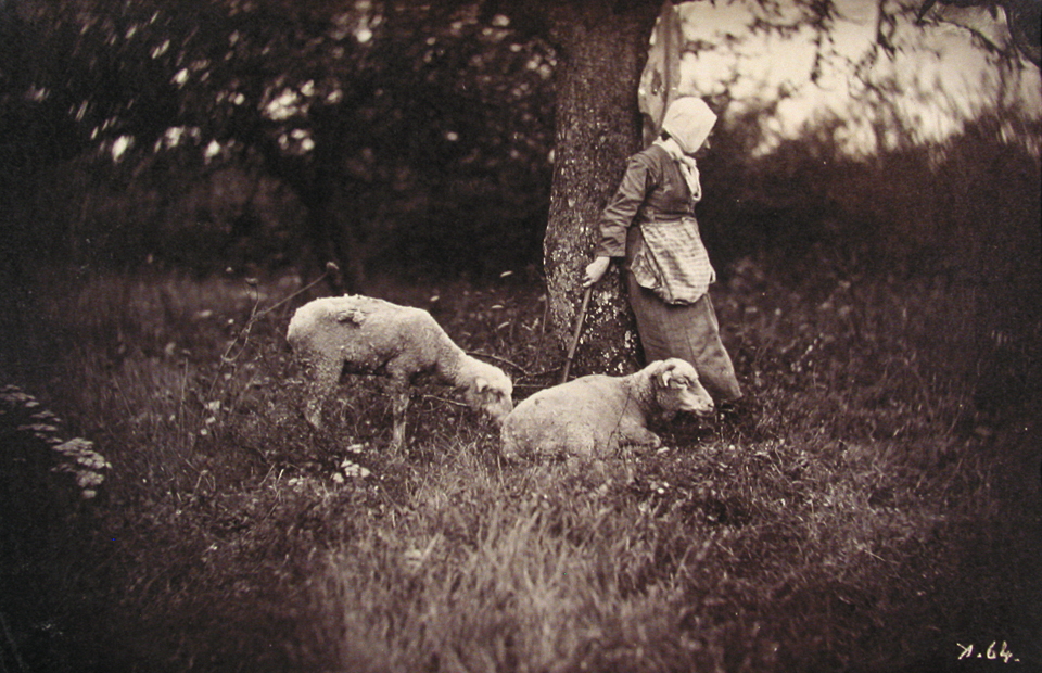 Shepherdess Leaning Against a Tree, with Two Sheep