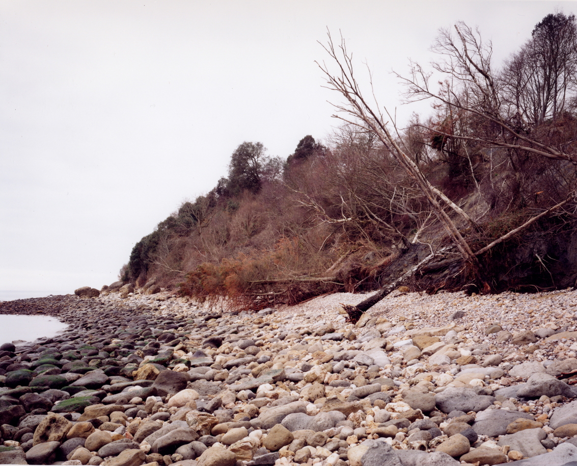 Beach, Pinhay Bay, March 3, 2002