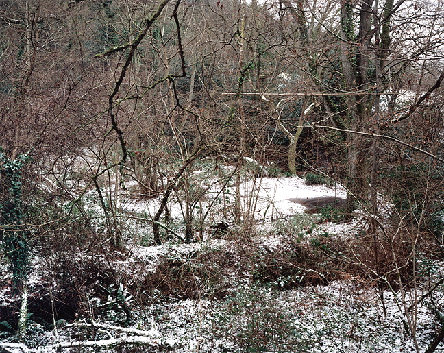 The Painter's Pool