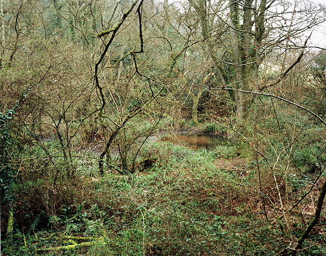 The Painter's Pool