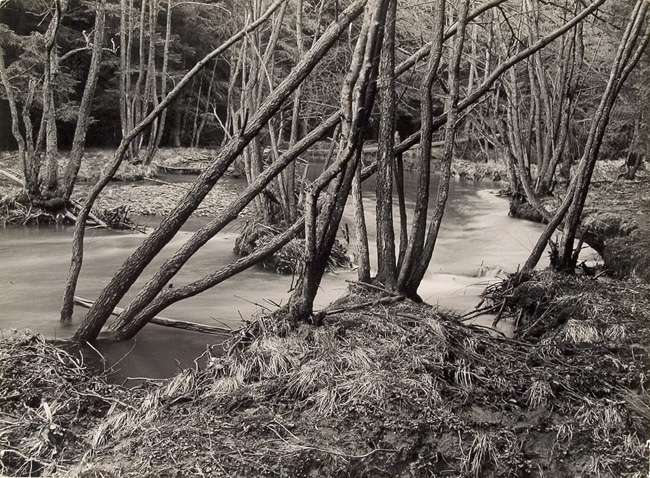 Arnsberger Wald, Uroetal