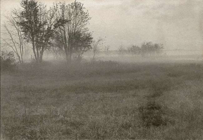 Landscape in fog