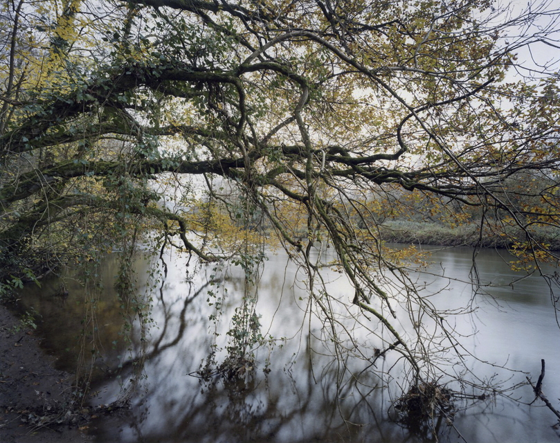 River Exe at Bickleigh