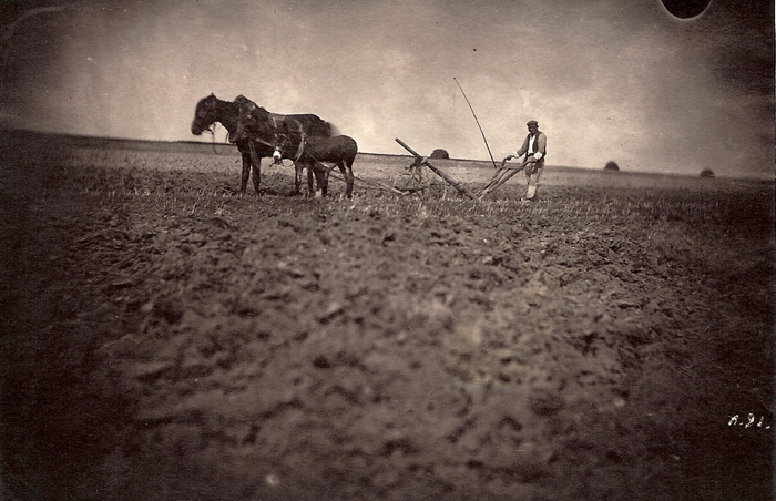 Farmer and horses plowing