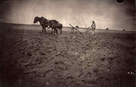 Farmer and horses plowing