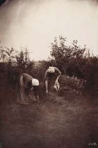 Two Women Harvesting