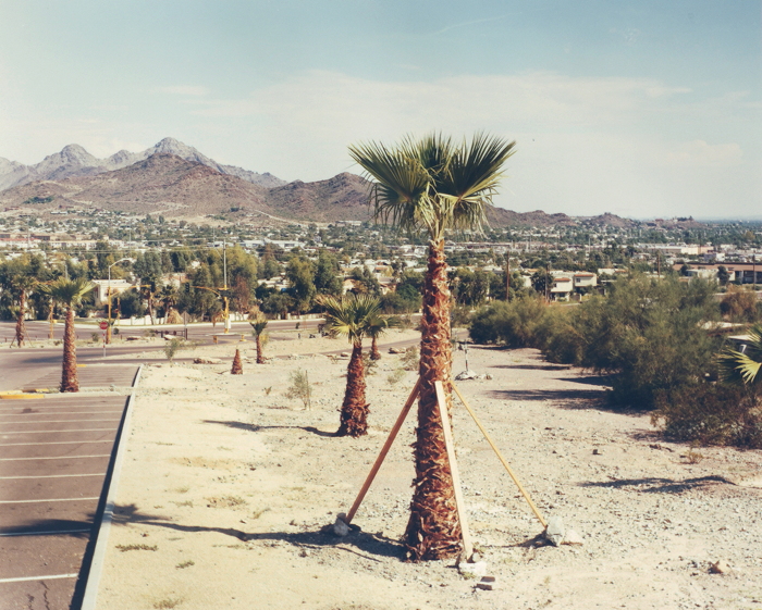 Tucson