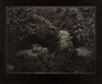 Untitled, from 
