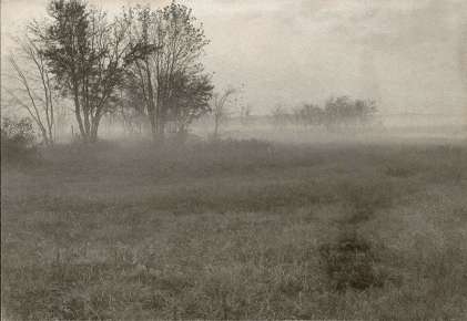 Landscape in fog
