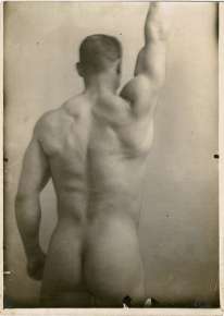Musculature Study, Back