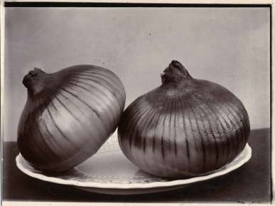 Onion Roundham Park Hero