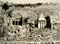 Jerusalem. Graves of St. James & Zacharias