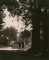 Two Gentlemen on a Road Under Trees