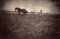 Farmer and horses plowing