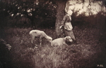 Shepherdess Leaning Against a Tree, with Two Sheep