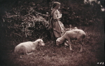 Young girl with two sheep