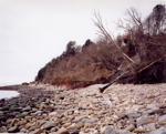 Beach, Pinhay Bay, March 3, 2002