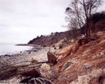 Pinhay Bay, 2002 (Lyme Bay series)
