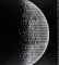 Crescent of the Moon
