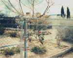 Tucson