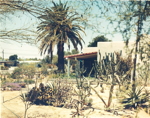 Tucson