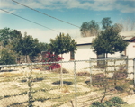 Tucson