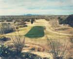 Tucson