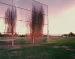 Tucson