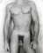 David Rich (Torso)