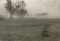 Landscape in fog
