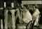 Knitters in Tennessee Knitting Mill