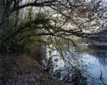 River Exe at Bickleigh