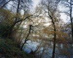 River Exe at Bickleigh