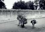 Woodgatherers, Hidalgo, Mexico