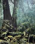 Selva de Chiapas / Jungle of Chiapas