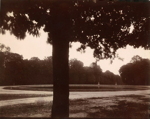 St. Cloud (tree trunk and basin)