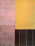Muros de Mexico (pink, yellow, black w/ stripes)